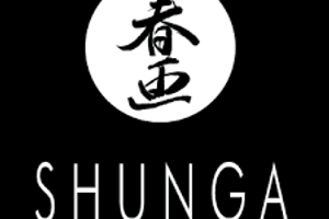 Про бренд Shunga фото