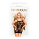 Міні-сукня сітка Penthouse - Above & Beyond Black S-L SO4358 фото 7