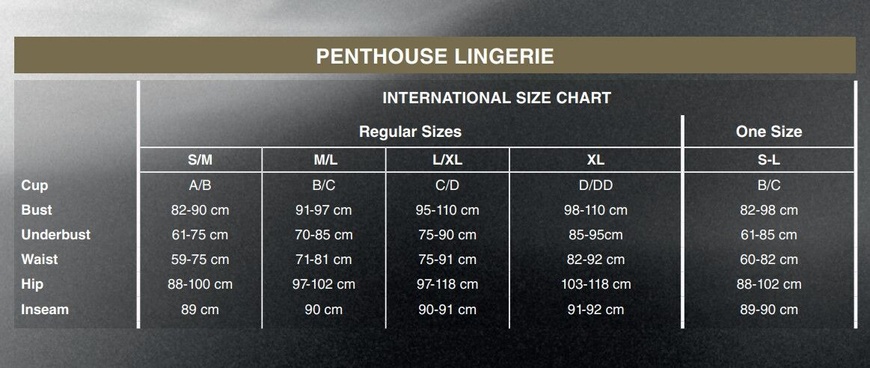 Трусики-стрінги Penthouse Classified L/XL Black, подвійні резиночки, непрозора вставка та бантик SO6530 фото