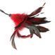 Метелочка-щекоталка Sportsheets - PLEASURE FEATHER RED на веревочной петле SO2190 фото 5