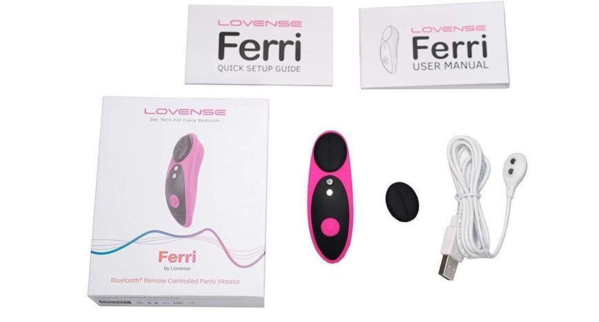 Смарт-вібратор в трусики Lovense Ferri SO4563 фото