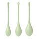 Набір йоні намистин Satisfyer Yoni Power 2 Light Green (м'ята упаковка!!!) SO5549-R фото 3