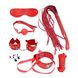 Набір MAI BDSM STARTER KIT Nº75: батіг, кляп, наручники, маска, нашийник з повідцем, мотузка, затиск SO5004 фото 11