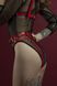 Гартери Feral Feelings - Belt Briefs, трусики, натуральна шкіра, колір червоний SO3446 фото 6