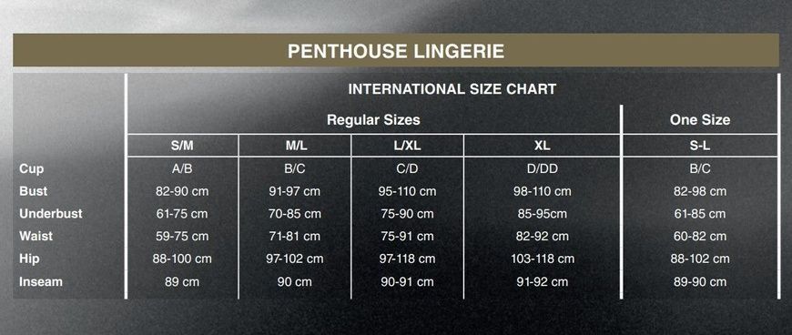Трусики Penthouse - Classified White M/L (м`ята упаковка) SO6532-R фото