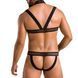 Комплект чоловічої білизни з кріпленнями Passion 043 JACOB S/M Black, труси, шлейки SO7601 фото 2