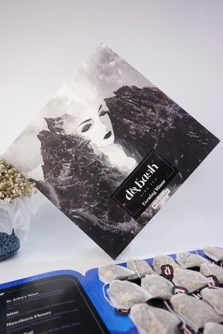 Чай &laquo;Вечірній&raquo; (дизайн платівка) - натуральний, карпатський трав&rsquo;яний, 20 пакетиків Relaxing Tea фото